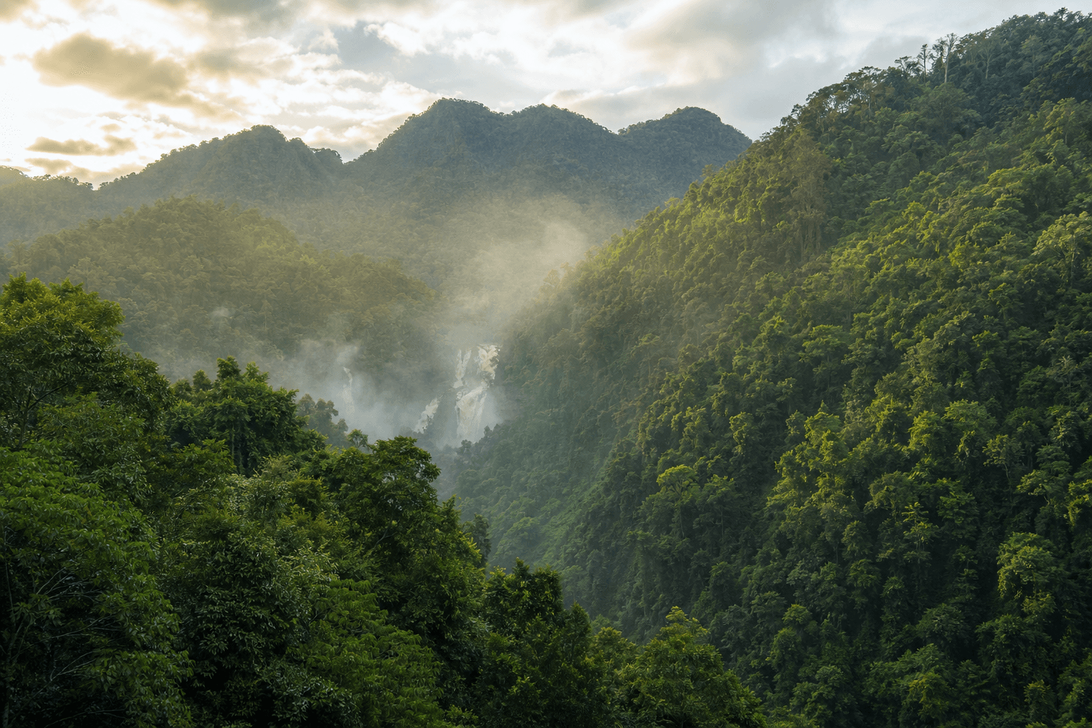 Núi rừng Con Cuông trong sương sớm